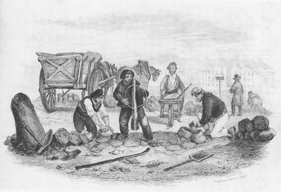 パビエ、「貿易の書」から、J。ミラーによって刻まれた、1836 作： English School